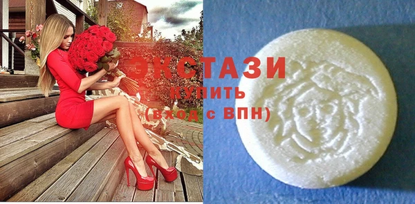 крисы Козельск