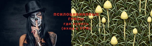 герыч Пестово
