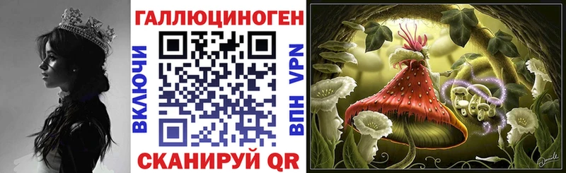 Псилоцибиновые грибы Cubensis  Урюпинск 