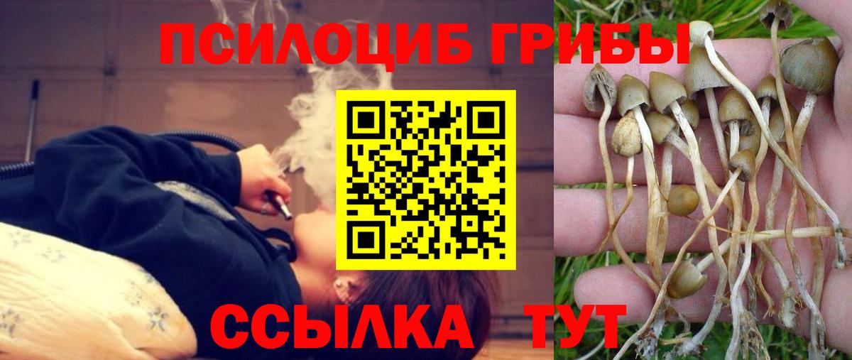 цены   Вход с VPN  Урюпинск  Галлюциногенные грибы Psilocybine cubensis 